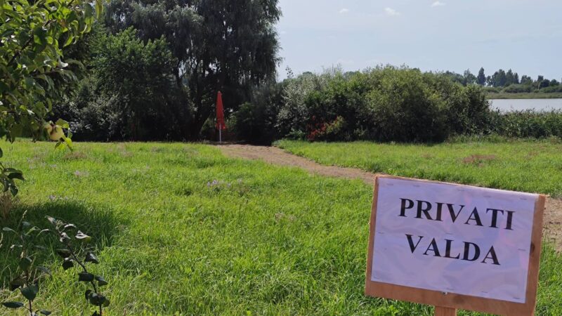 Privati valda - Žydrūnas Krulikas