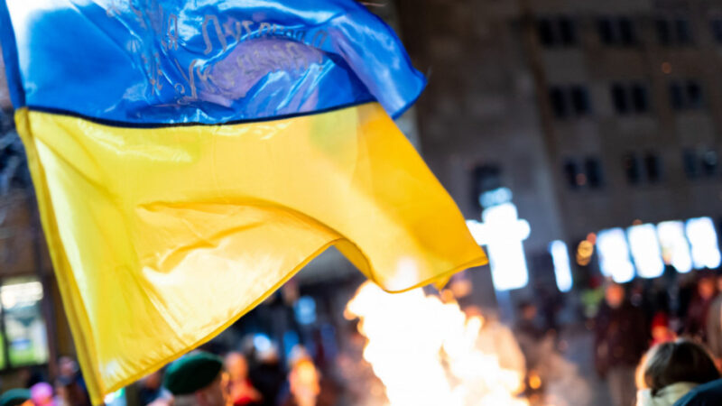 Ukrainos vėliava