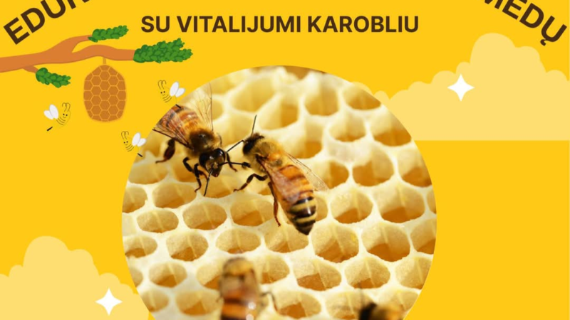 Edukacija apie bites ir medų su Vitalijumi Karobliu